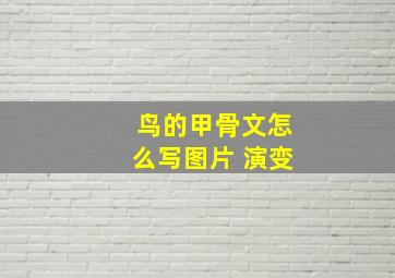 鸟的甲骨文怎么写图片 演变